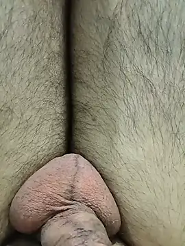 IndianMan0102 webcam show