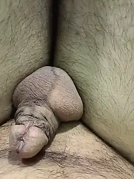 IndianMan0102 Webcam-Show