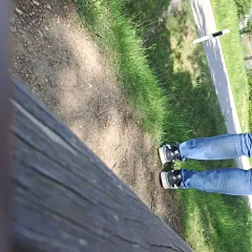 walddrinker Webcam-Show