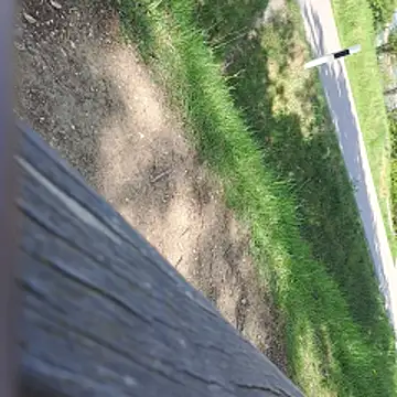 walddrinker Adlı Modelin Web Kamerası Şovu