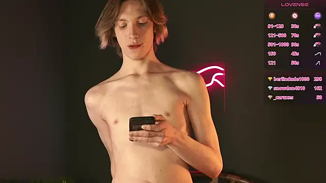 Daniel_Schmidtn Webbikameraesitys
