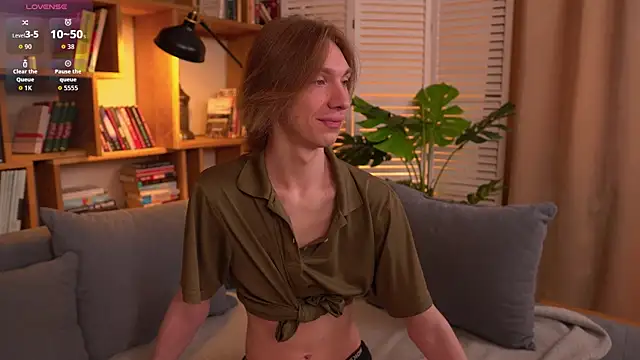 Daniel_Schmidtn Webbikameraesitys