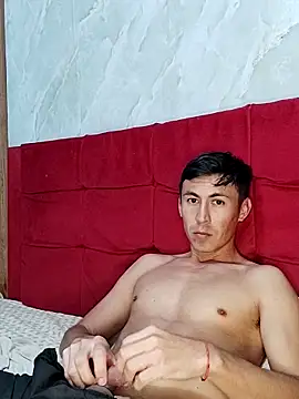 Gavii2026n Webbikameraesitys