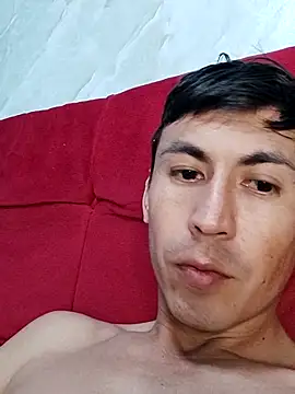 Show webcam de Gavii2026