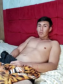 Show Webcam de Gavii2026
