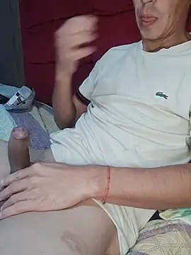 Gavii2026 Webcam-Show