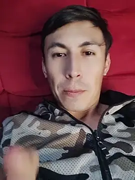 Show Webcam de Gavii2026