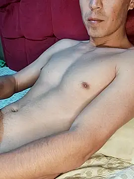 Show Webcam de Gavii2026