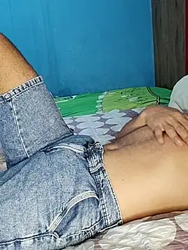Gavii2026 Webcam-Show