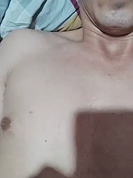 Gavii2026 – webcam-show