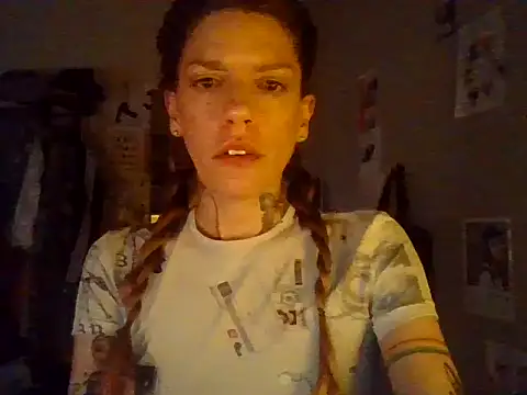 plsmecha Webcam show