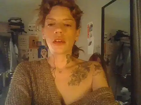 Show de webcam de plsmecha