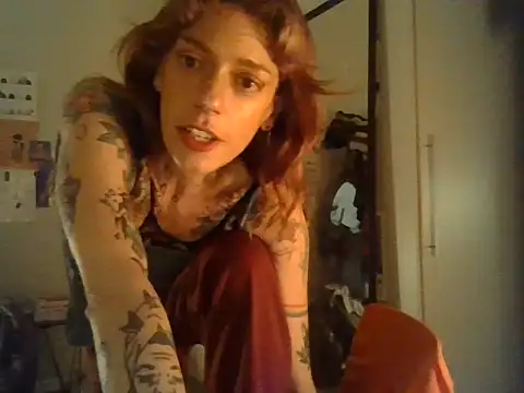 Chat +18 de plsmecha ao vivo