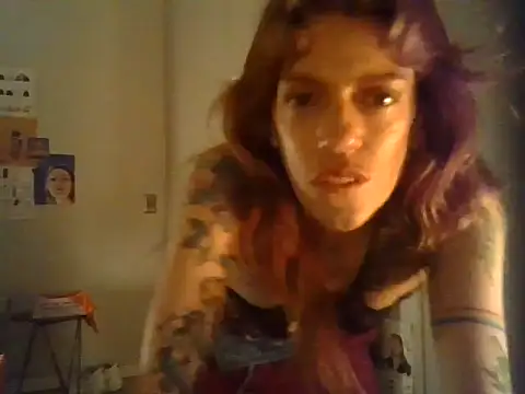 plsmecha's Webcam Show