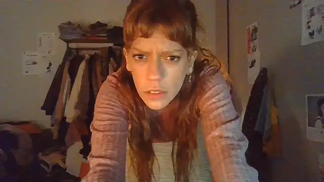 plsmechan Webbikameraesitys