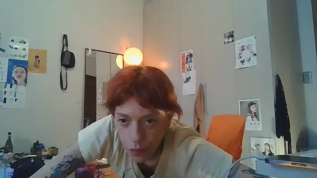 Show Webcam de simechasi