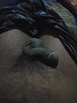 desibullboybdn Webbikameraesitys
