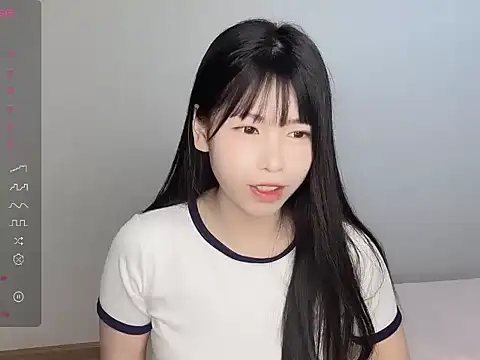 Aida73 网络视讯表演