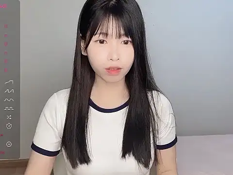 Aida73 网络视讯表演