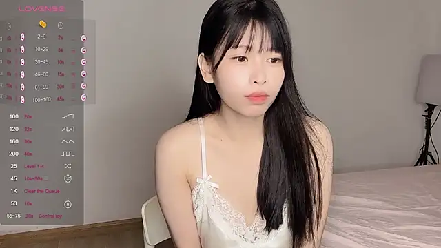 Aida73 网络视讯表演