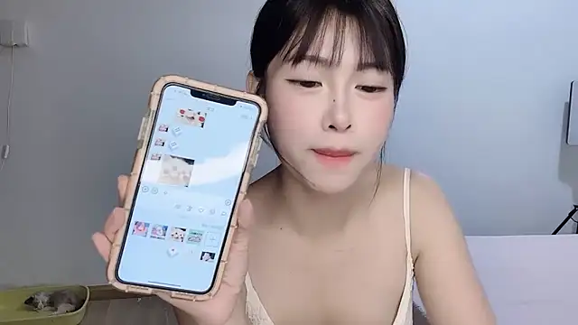 Aida73 网络视讯表演