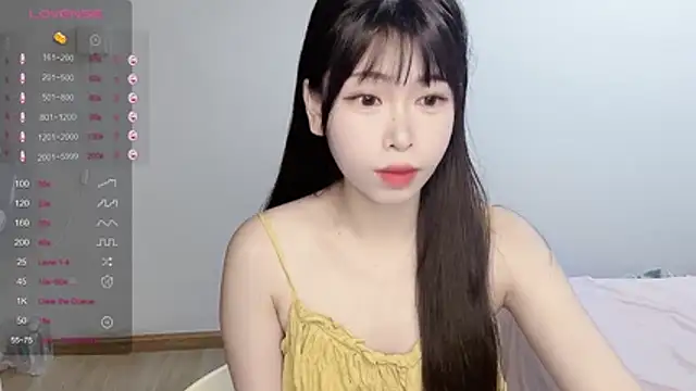 Aida73 网络视讯表演