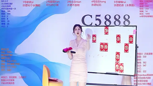 C5888のウェブカメラショー