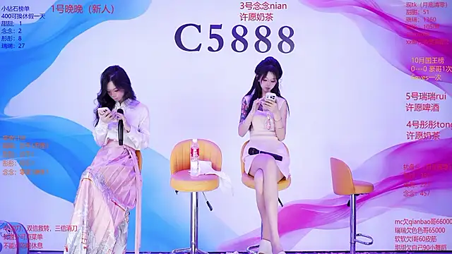 Show webcam de C5888