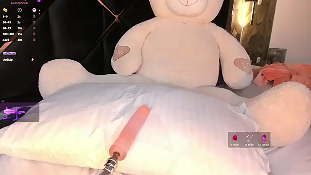 KaelSoft_ Show in webcam