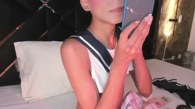 KaelSoft_ Show Webcam