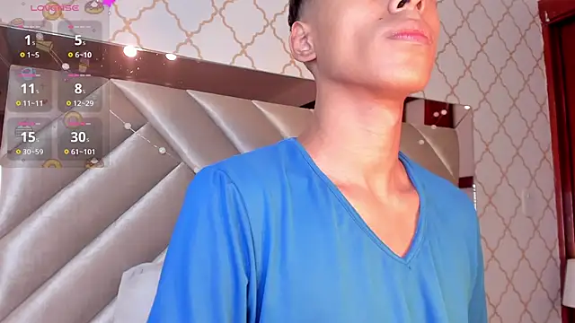 KaelSoft_ Webcam Show