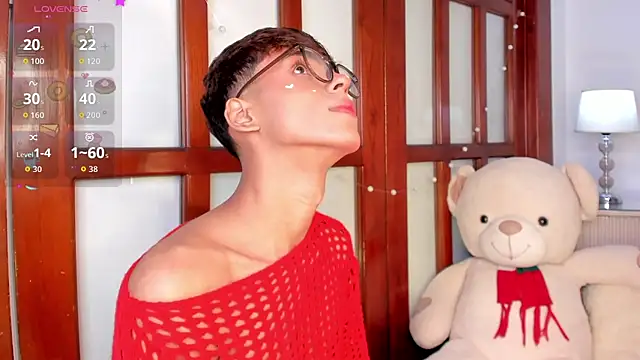 KaelSoft_ Show in webcam