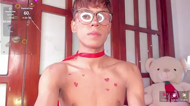 KaelSoft_ Show Webcam