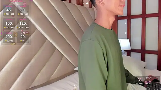 KaelSoft_ Show Webcam