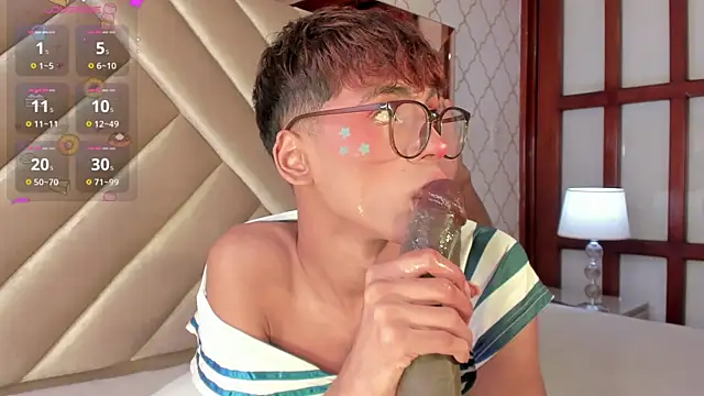 โชว์เว็บแคมของ KaelSoft_