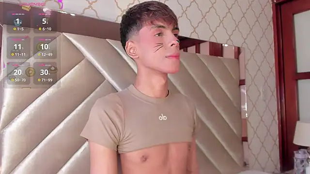 KaelSoft_ Webcam-Show