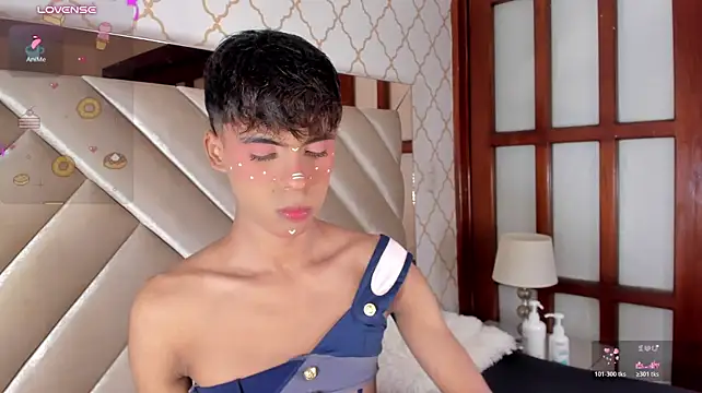 KaelSoft_ Webcam Show
