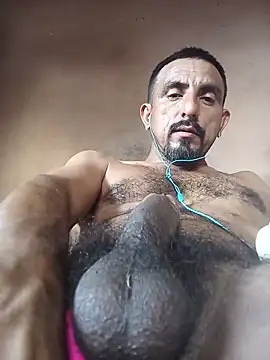 Longthick26cm Pertunjukan Webcam
