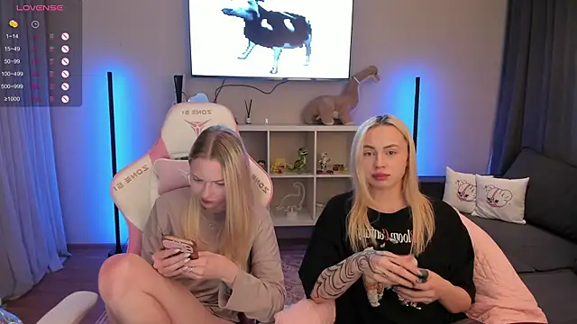 Enjoyment_place Webcam show
