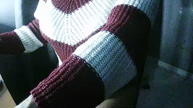 Show modela flayeyena na web-kameri