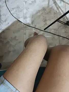 slfunson18n Webbikameraesitys