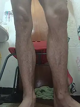 Transdecloset Show in webcam