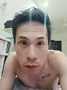 Cipher-L Show Webcam