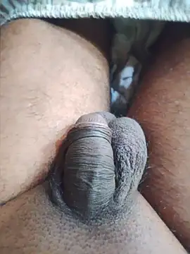 shashini97 – Kamerová šou