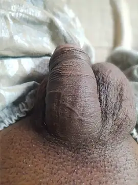 عرض كام shashini97