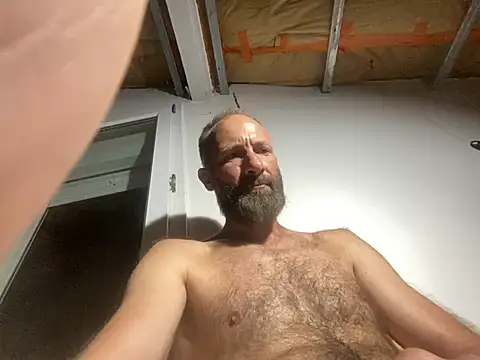 thefrenchi09n Webbikameraesitys