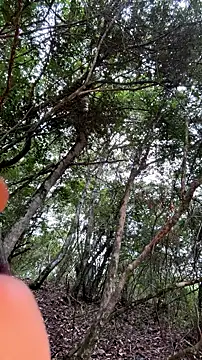 mariannellan Webbikameraesitys