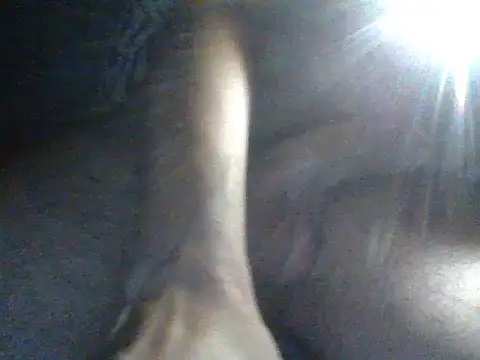 CohesiveCatching Webcam-Show