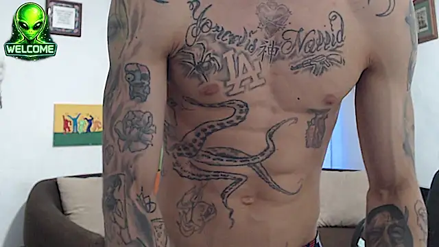 Show Webcam de alpha_zom