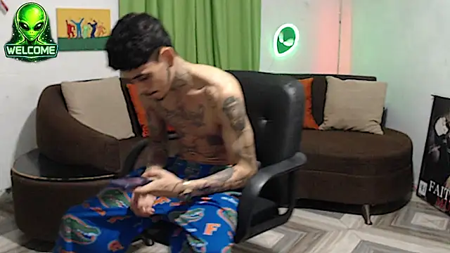 Show webcam de alpha_zom